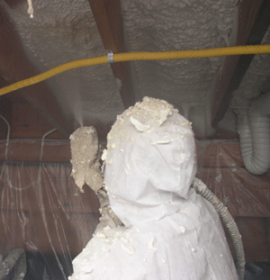 Decatur AL crawl space insulation